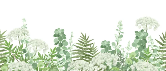 Tuinposter Meadow with forest plants and flowers, seamless vector panoramic illustration. © Татьяна Любимова