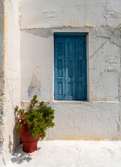 Fototapeta na wymiar A flowerpot in front of an old house with a blue window on white-washed walls. Pyles village, Karpathos island, Greece.
