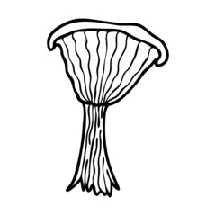 Vector contour mushroom. Mushroom icon. Simple clipart.