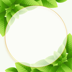 Fototapeta na wymiar green eco leaves background with circular frame