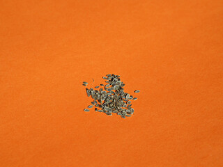 Different seeds on the color background