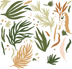 Botanical Plants and Leaf Leaves Earthy Bohemian Modern Colors Illustration Vector Set