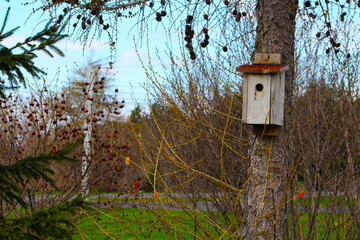 Les cabanes à oiseaux dans les champs