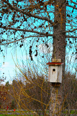 Les cabanes à oiseaux dans les champs