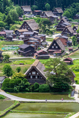 Obraz premium 六月の世界遺産 白川村の田園風景 