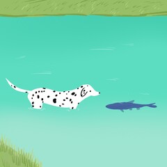 The encounter of a Dalmatian dog and a fish, in a lake