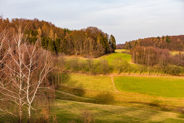 Ländliche Szene mit Hügeln, Tälern, Waldstücken und Sträuchern bei Sonne im Winter