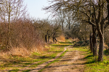 Ein ländlicher Weg durch Büsche und Bäume im idyllischen Frühling bei Sonne in Deutschland