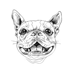 Portrait of a smiling funny Boston Terrier dog. Humor card, t-shirt composition, hand drawn style print. Vector black and white illustration.