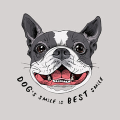 Portrait of a smiling funny Boston Terrier dog. Humor card, t-shirt composition, hand drawn style print. Vector illustration.