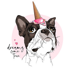 Portrait of the dreaming funny Boston Terrier dog in the pink Ice cream party hat. Dream come true - lettering quote. Humor card, t-shirt composition, hand drawn style print. Vector illustration.