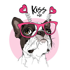 Card of a Valentine's Day. Portrait of the dreaming funny Boston Terrier dog in the pink glasses with hearts. Humor card, t-shirt composition, hand drawn style print. Vector illustration. - obrazy, fototapety, plakaty