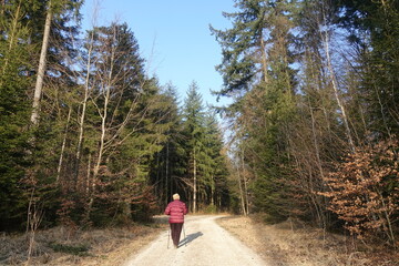 Obraz premium Schöne Landschaft in Donau-Ries, Bayern, Deutschland