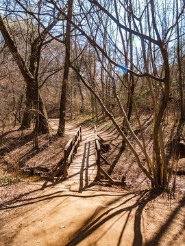 Path goes over a bridge in a forest