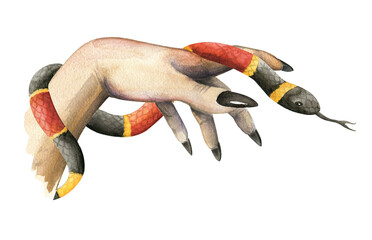 Hand with snake. Watercolor hand drawn - 496471653