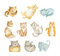 Cute cats. Watercolor hand drawn - 496471663