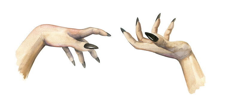 Beautiful hands. Watercolor hand drawn