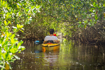 Tourist kayaking in mangrove forest in Everglades, Florida, USA