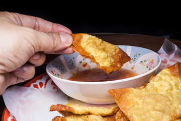 Deep Fried Wonton