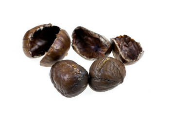 Chestnut on white background