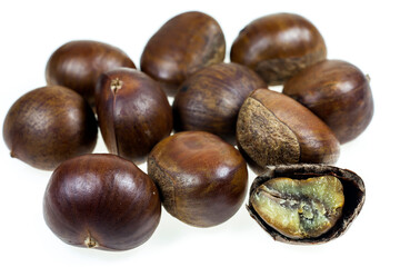 Chestnut on white background