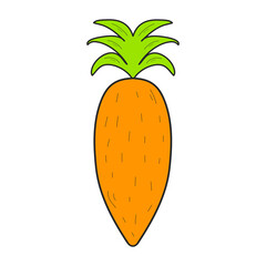 Carrot icon. Colorful graphic sketch. Idea for decors, logo, covers, holidays, gifts, art. Isolated vector.
