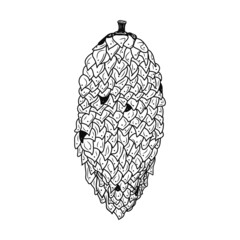 Pine cone icon. Black graphic sketch. Idea for decors, logo, covers, holidays, gifts, art. Isolated vector.