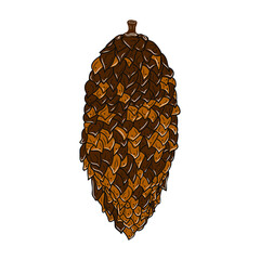 Pine cone icon. Colorful graphic sketch. Idea for decors, logo, covers, holidays, gifts, art. Isolated vector.
