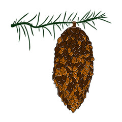 Pine cone on field icon. Colorful graphic sketch. Idea for decors, logo, covers, holidays, gifts, art. Isolated vector.