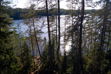 A coniferous forest, and behind it can see a large lake and the reflection of the setting sun shines on its surface.