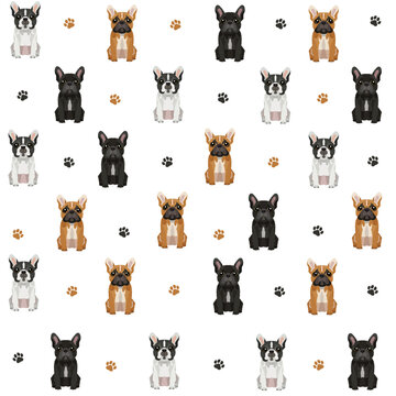 Seamless vector pattern with French Bulldogs