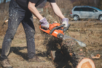 Foreman in work clothes cuts a dry tree with a chainsaw for later processing. Woodcutting in the...