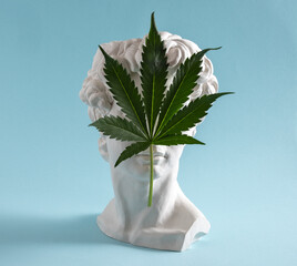 Statue of David's head covered with  large marijuana leaf on  blue background.
