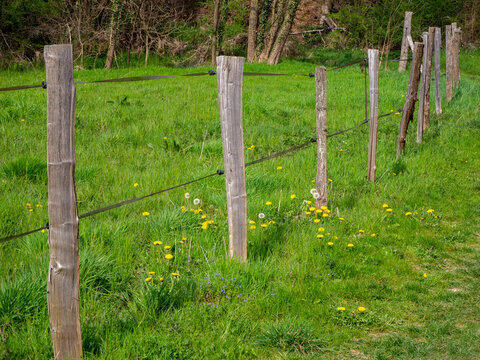 Cl&ocirc;ture en bois d&eacute;limitant un champ au printemps