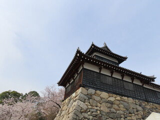 Fototapeta na wymiar 奈良、郡山城跡の桜。