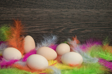 wielkanocne jaja w kolorowych piórach - obrazy, fototapety, plakaty