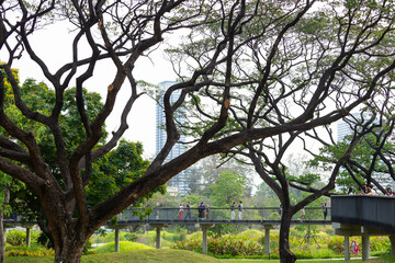 Shady atmosphere with big trees and walkways of the new park in Bangkok. There are people and tourists come to relax and exercise.