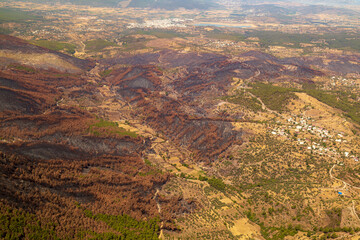 Trees burnt in forest fires of July 2021 in Marmaris resort town of Turkey from helicopter