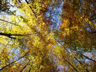 Herbstliche Stimmung