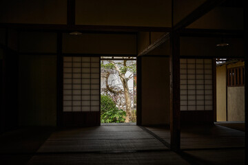 日本家屋の室内と坪庭