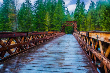 Obraz premium A wooden bridge in the middle of a forest,Washington States, USA