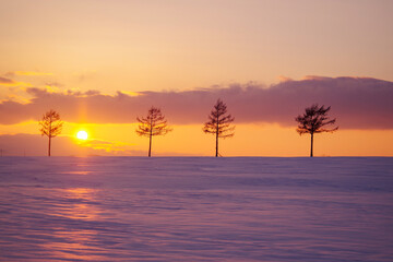 冬のメルヘンの丘