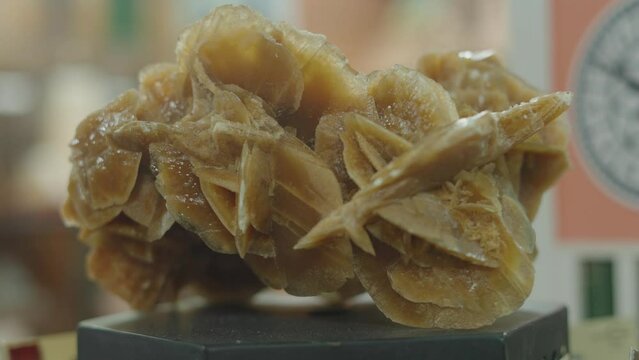 Desert rose is formations of crystal clusters of gypsum or baryte which include abundant sand grains in doha qatar market
