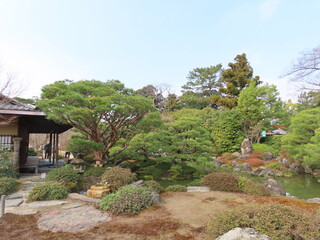 Obraz premium 京都、城南宮の梅や花