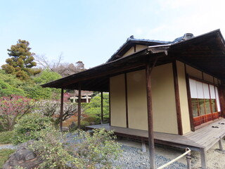 京都、城南宮の梅や花