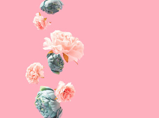 Teal and pink flowers dropping against pastel rose background. Spring minimal concept