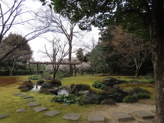 京都、城南宮の梅や花