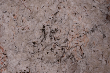 Marble background. Coral and gray colors.