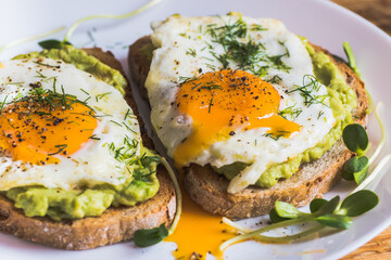  Avocado toast and egg with fresh sunflower sprouts and dill. Healthy breakfast or vegetarian food concept, close up. 