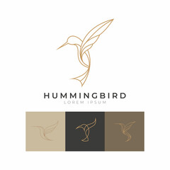 Collection of Hummingbird icon logo vector with modern luxury line gold color concept.